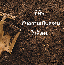สังคมไทยต้องสูญเสียอะไร หากไม่ปฏิรูปที่ดิน