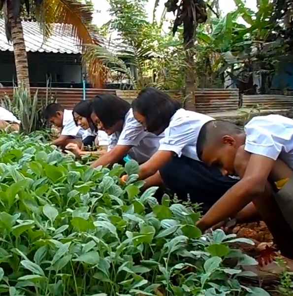 หนังสั้นโรงเรียนบ้านคลองหว้า เรื่องแปลงเกษตร ช่วยได้